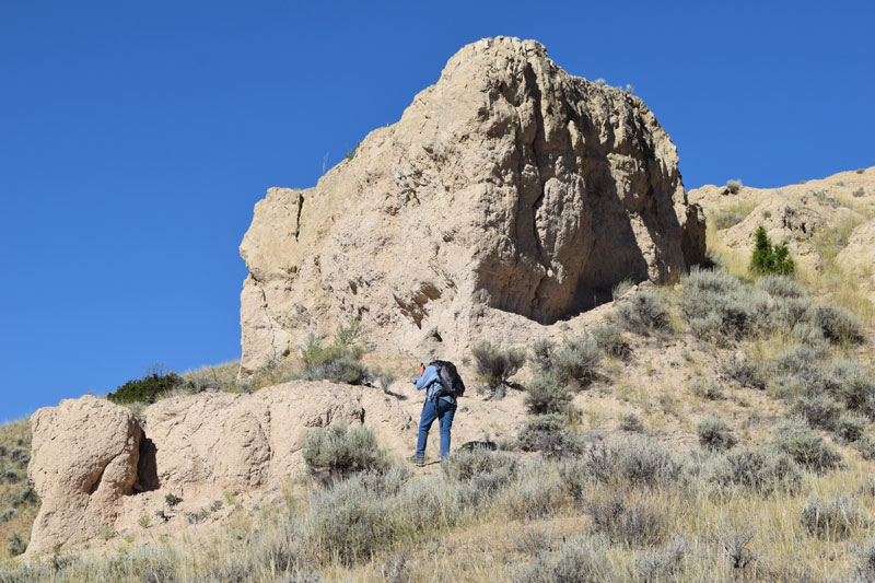 Late Tertiary outcrops north of Whitehall, Montana, yielded some interesting horse and camel remains.