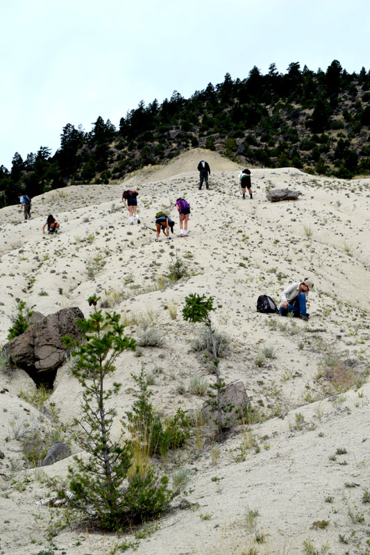 The late Eocene strata at Pipestone held the students attention for many hours