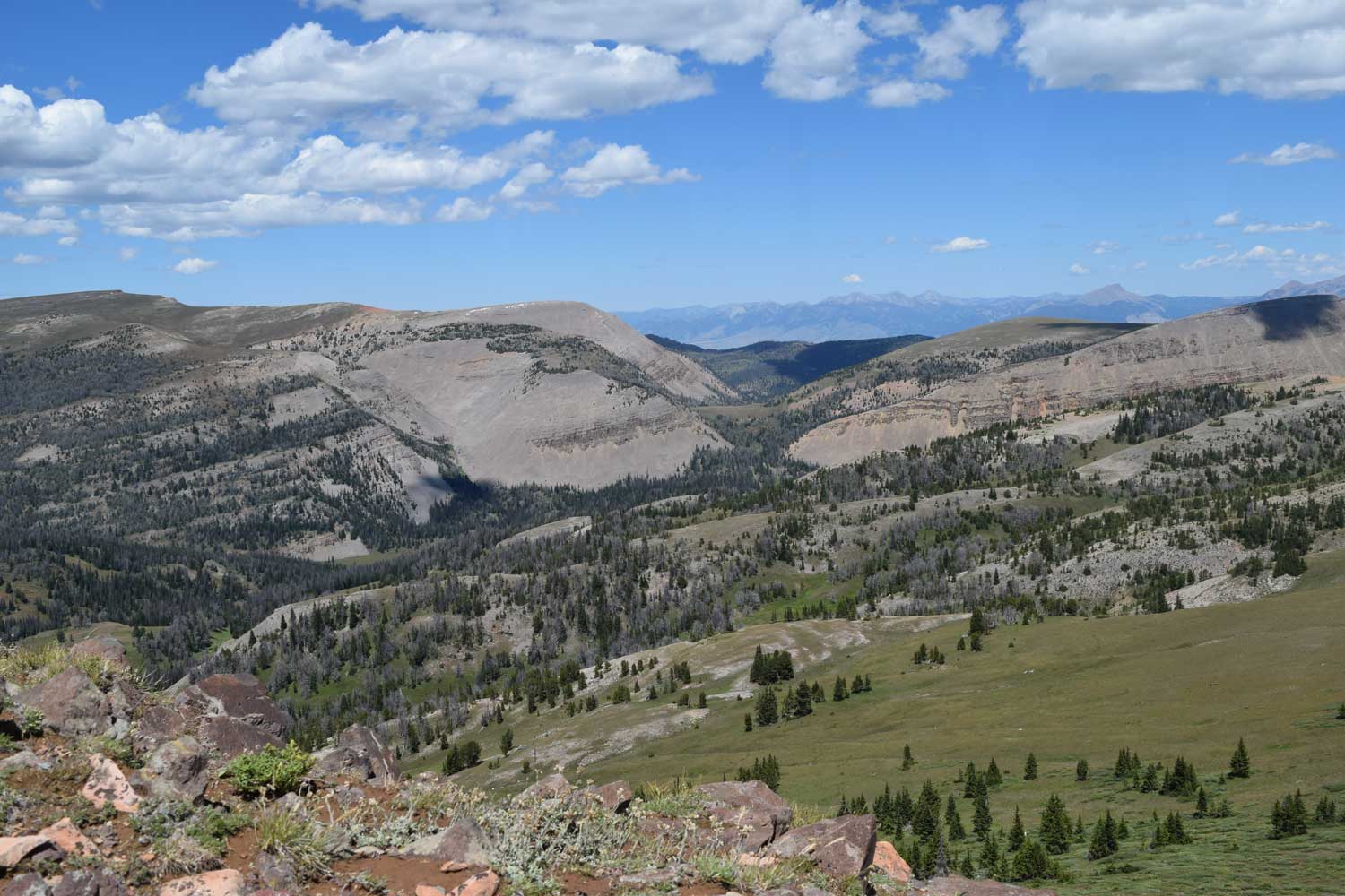 The Gravelly Range, Southwestern Montana: High Elevation Tertiary