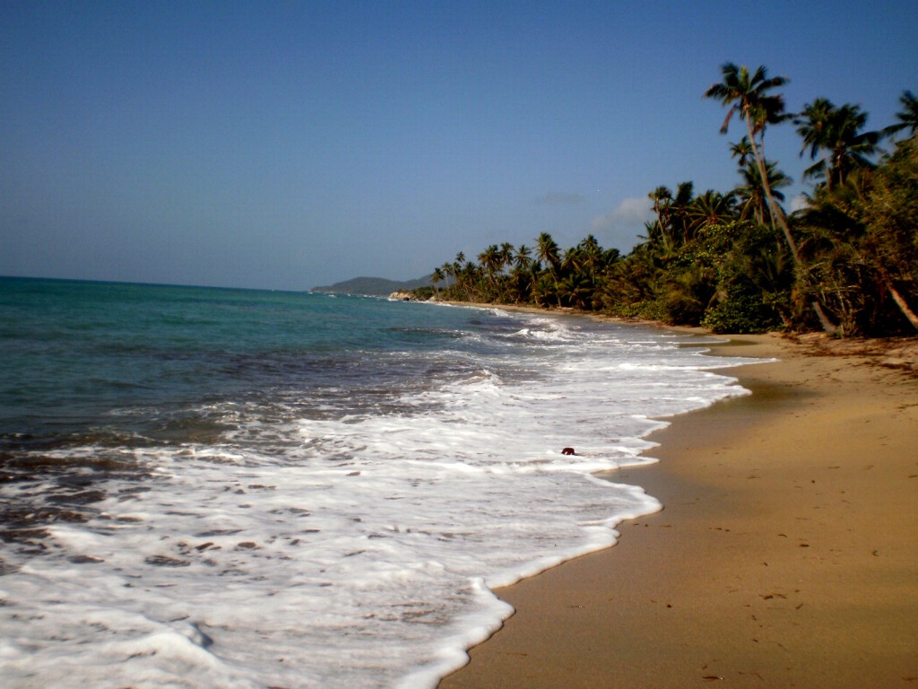Coconut beach near Esperanza is well within walking distance from the local lodgings.