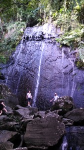 The waters of La Coca Falls drop 85 feet onto the volcaniclastic sandstones of the Tabonuco Formation.