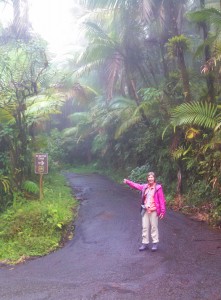 On the trail to the Mt, Britton Tower, through the cloud forest.