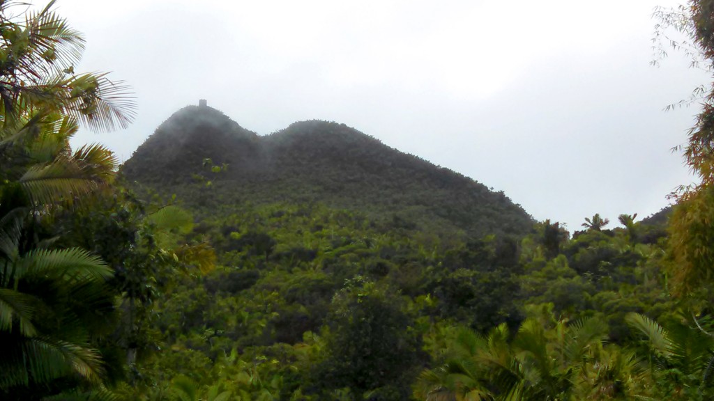 Mt. Britton Tower within the cloud forest of El Yunque.