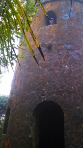 Mt. Britton Tower in El Yunque.