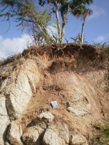 Granitic rock exposed on the locally known 