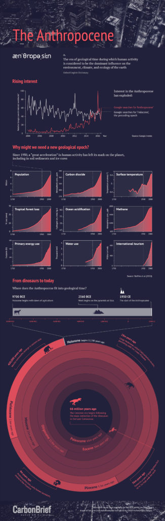 Infographic: The Anthropocene. By Rosamund Pearce for Carbon Brief.