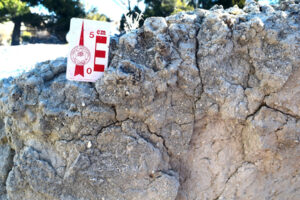 Dung beetle burrows atop tuff